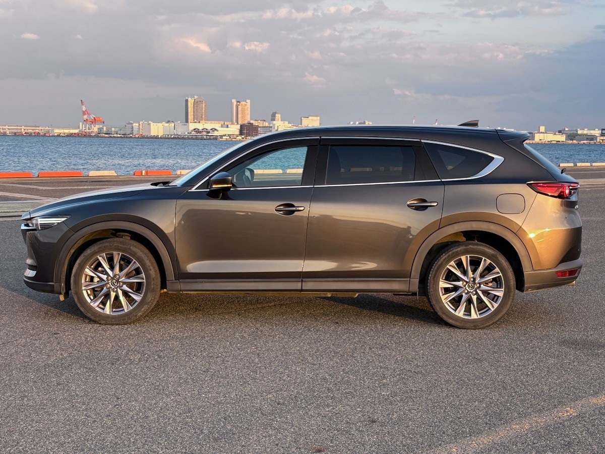 2019 Mazda CX-8