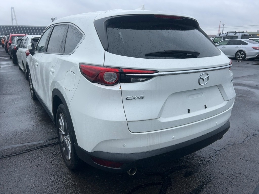 2019 Mazda CX-8