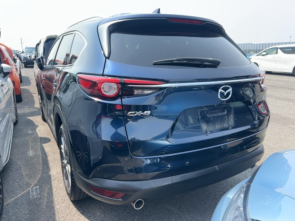 2018 Mazda CX-8