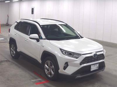 2019 Toyota RAV4 - Image Coming Soon